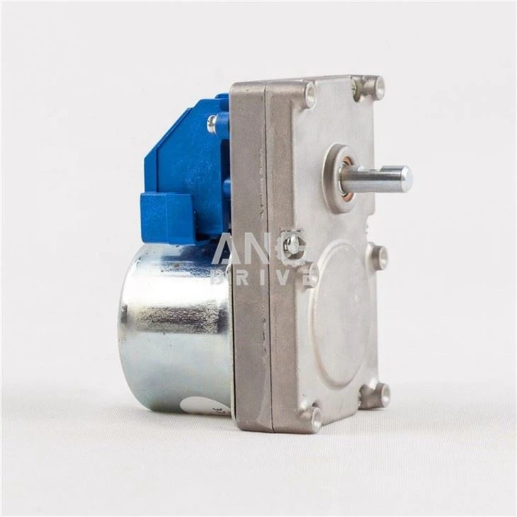Biomass Bioler Motor