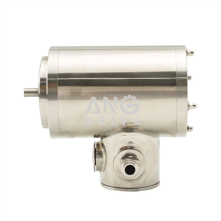 stainless steel 304 electric motor